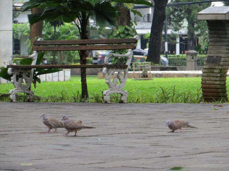 Barkah Place Jakarta Eksteriør billede